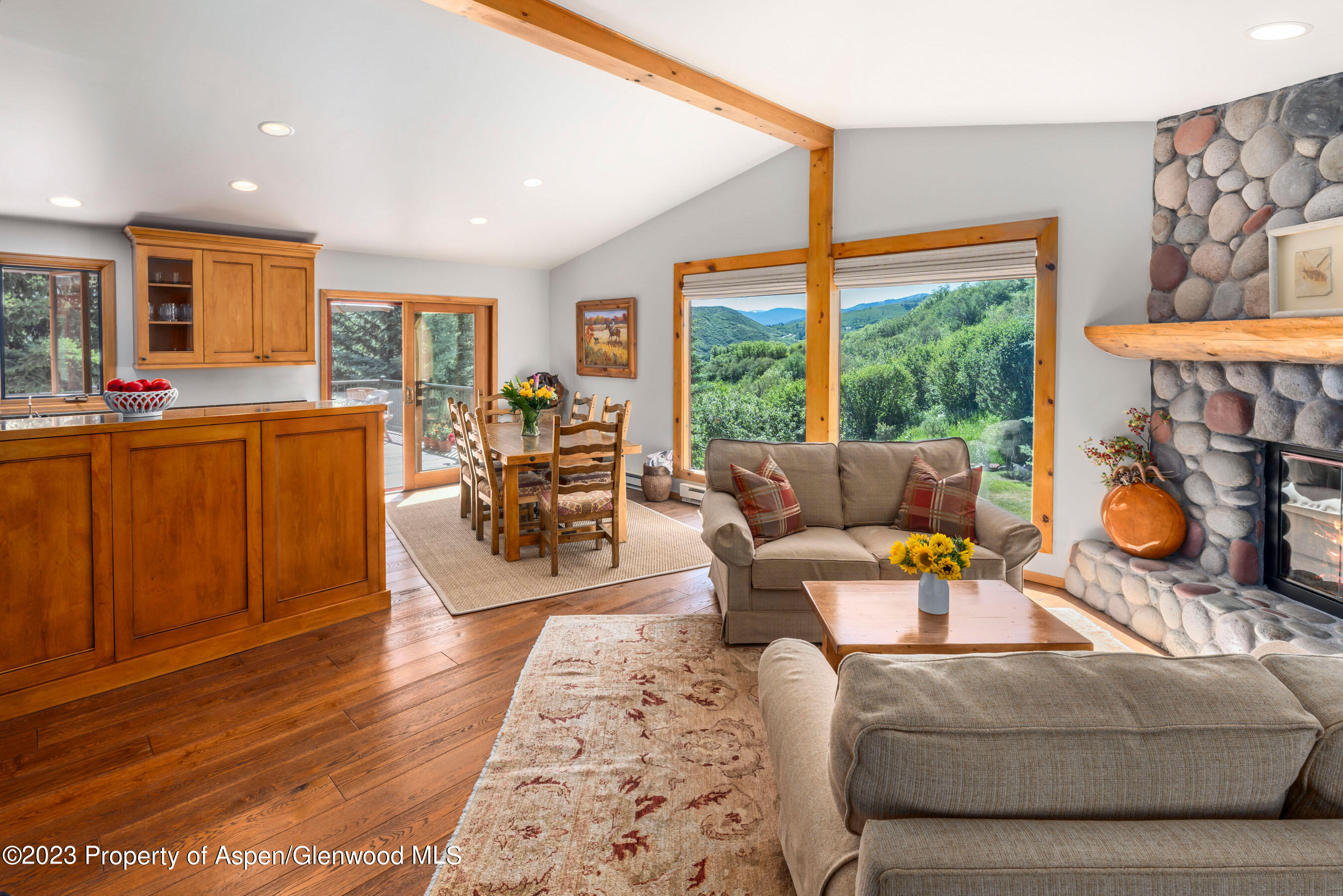 164 Meadow Lane Snowmass Village, CO 81615 - Photo 29 of 29 Main Floor Open Floorplan