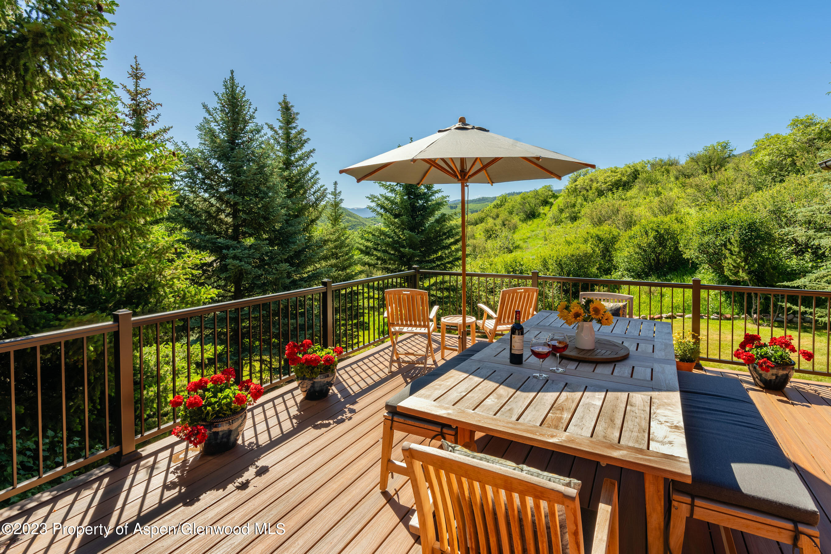 164 Meadow Lane Snowmass Village, CO 81615 - Photo 6 of 29 Deck