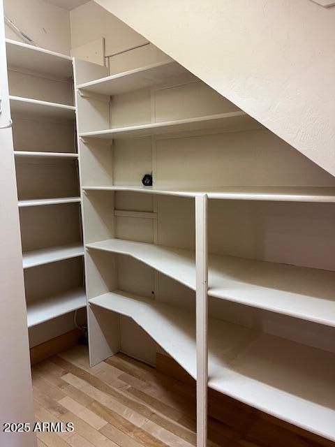 5468 Apache Trail Pinetop, AZ 85935 - Photo 34 of 73 a view of walk in closet with empty racks