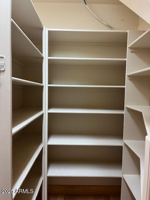 5468 Apache Trail Pinetop, AZ 85935 - Photo 35 of 73 a view of walk in closet with empty racks