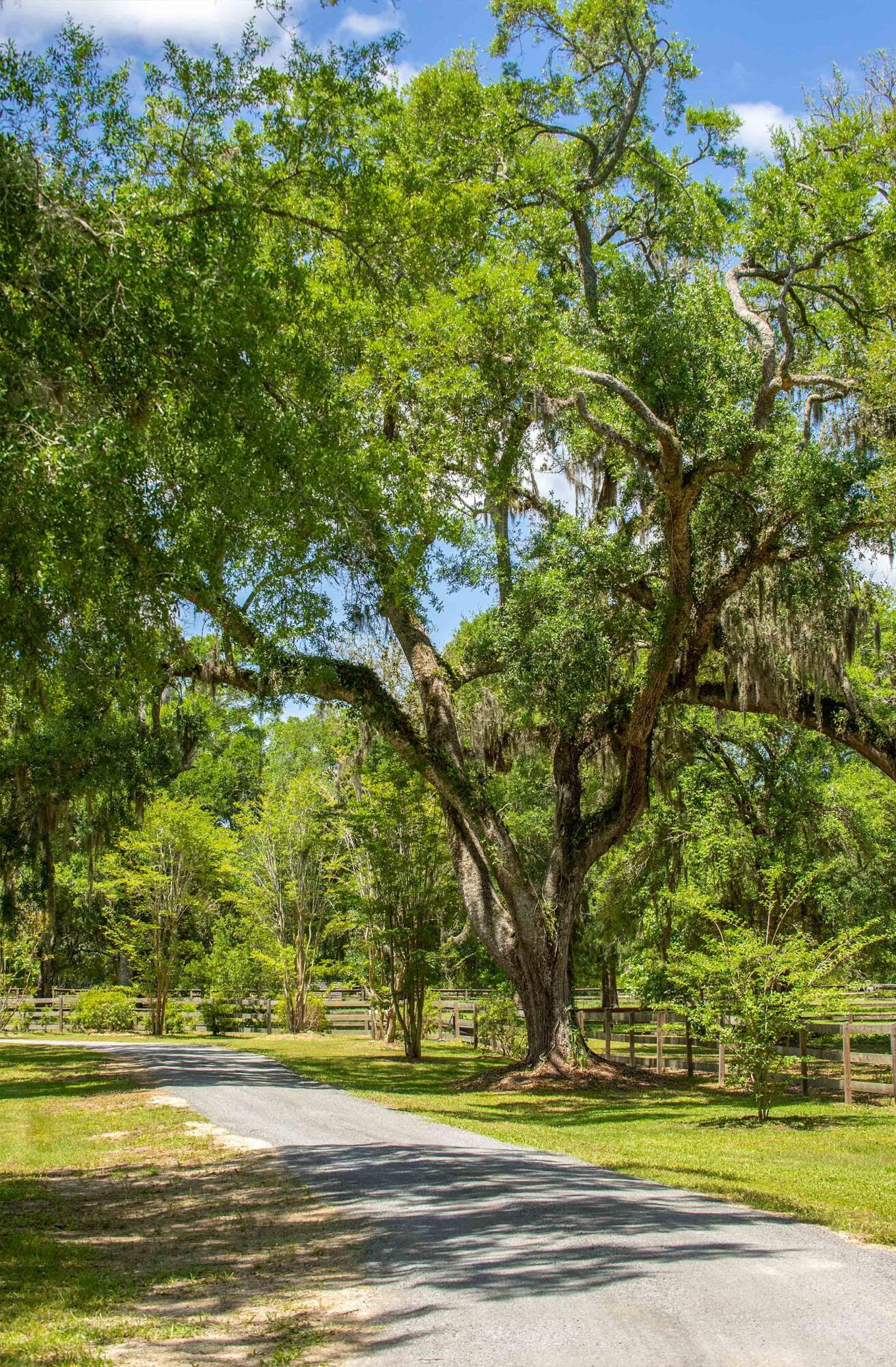 5068 Sweetgrass Farm Road Johns Island, SC 29455 - Photo 83 of 85 Sweetgrass Farm Road-83