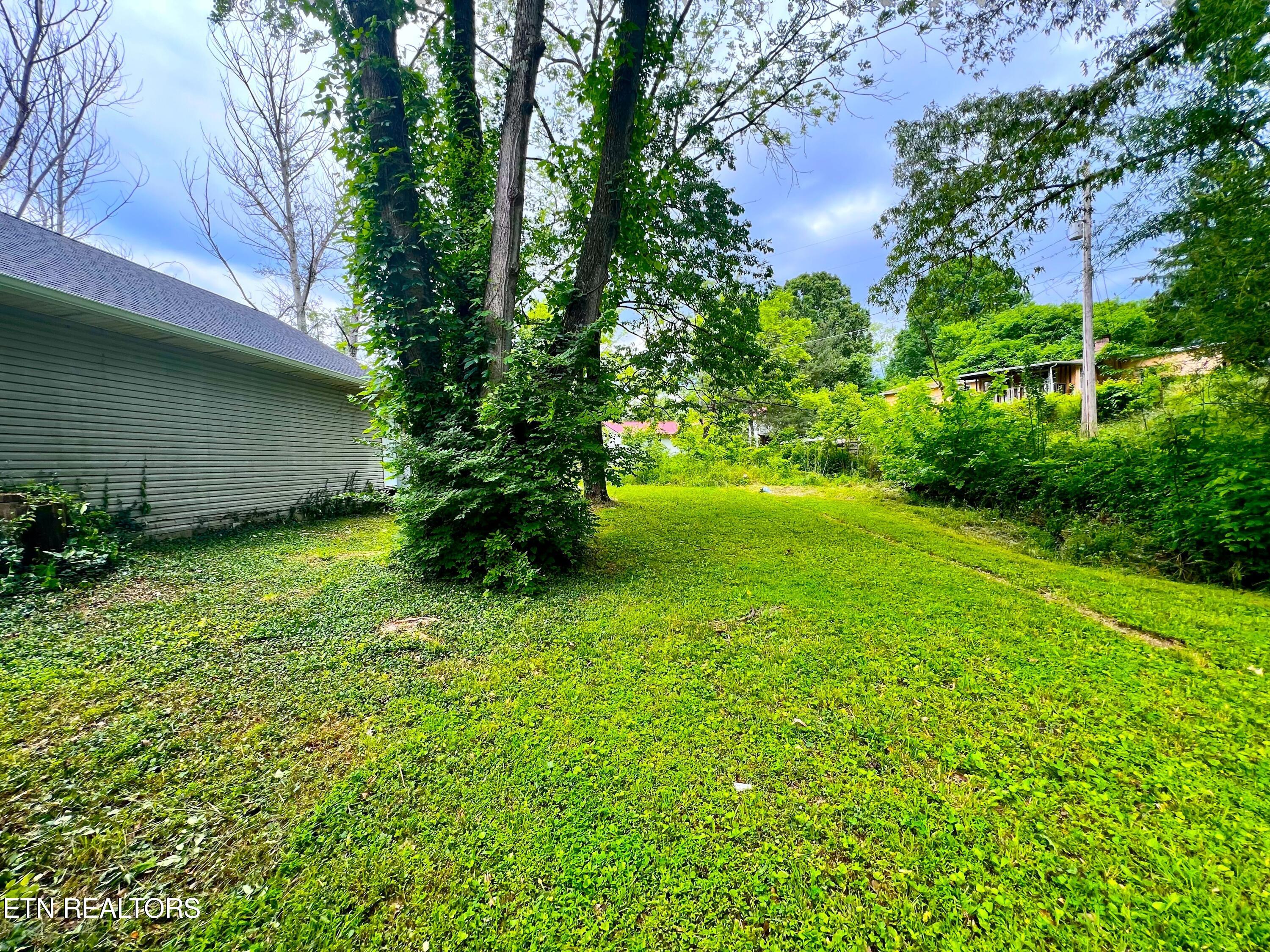 824 Edna Garland Road Maryville, TN 37801 - Photo 3 of 12 IMG_5976