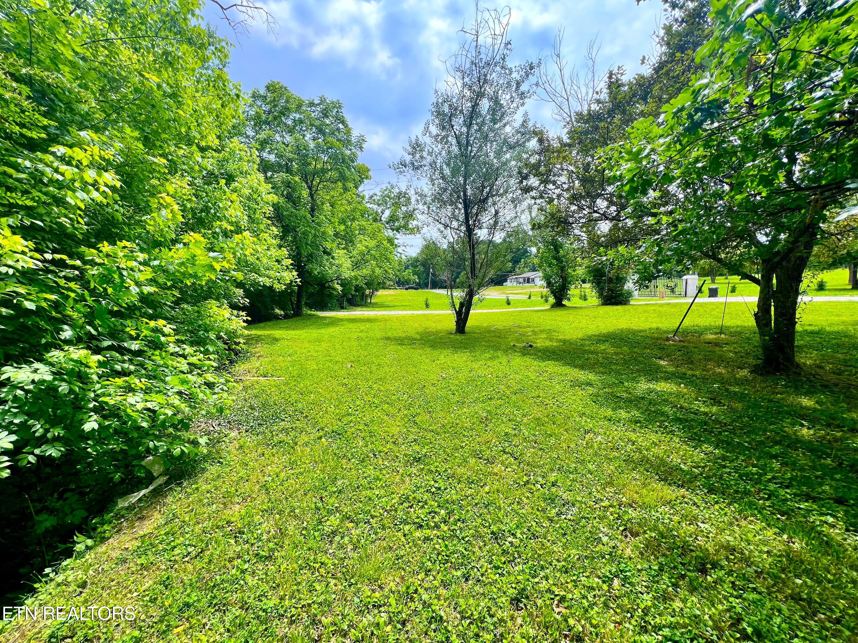 824 Edna Garland Road Maryville, TN 37801 - Photo 4 of 12 IMG_5977
