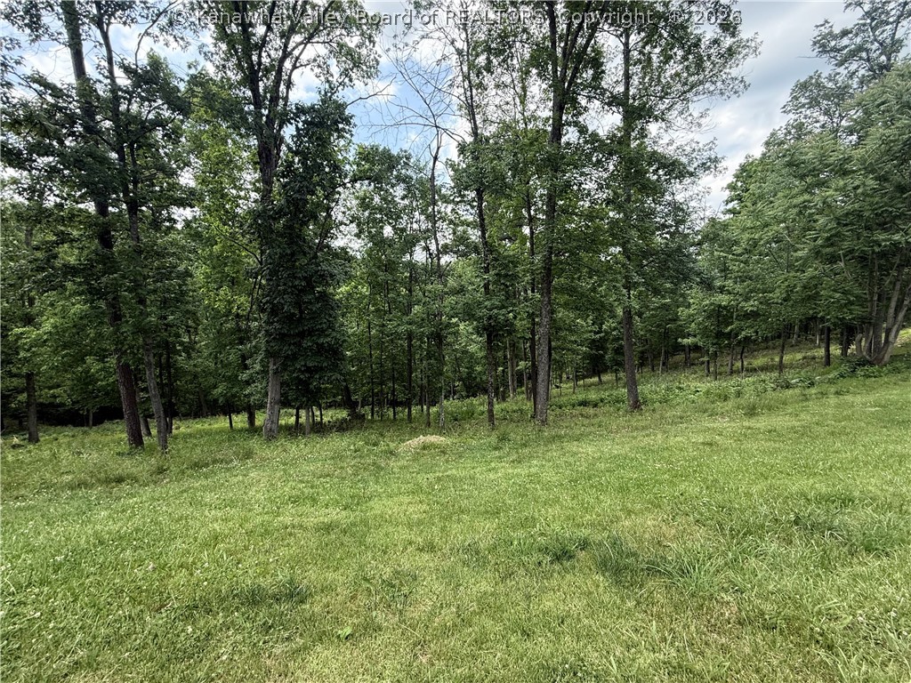 142 Fisher Ridge Road Kenna, WV 25248 - Photo 28 of 29 Gallery Image 28