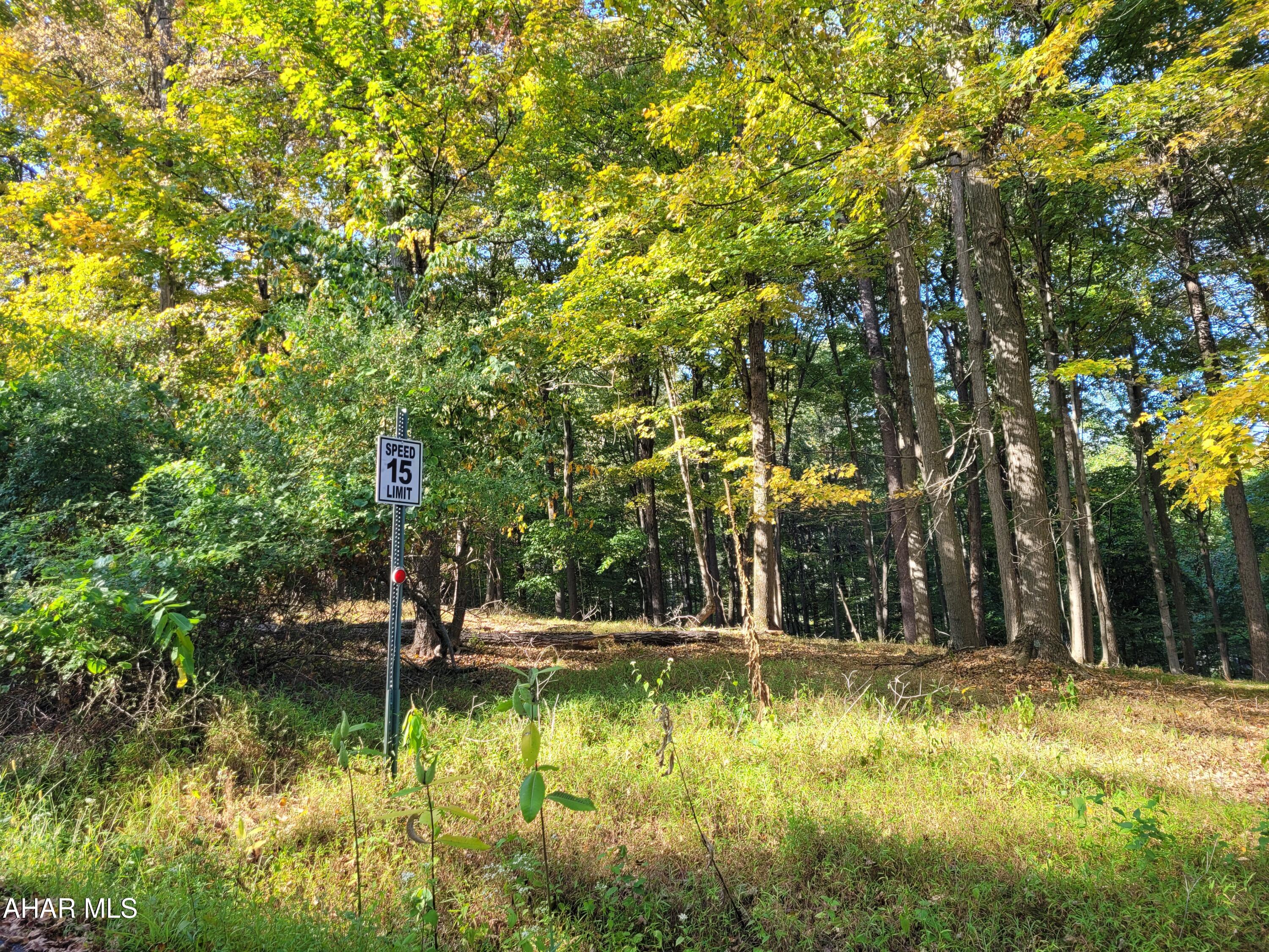 T180 Christopher Road Flinton, PA 16640 - Photo 2 of 3