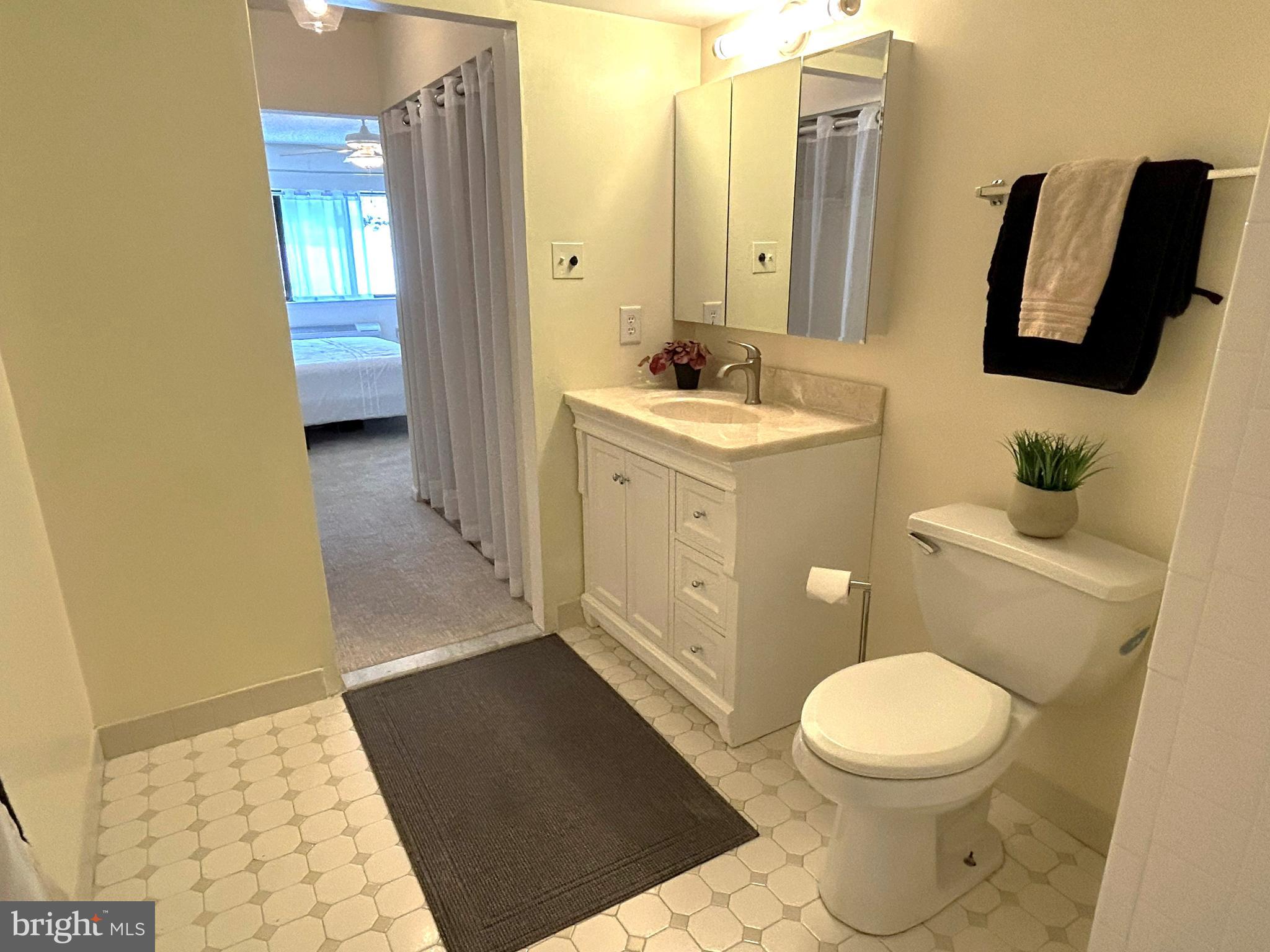 700 Avondale Road, Unit 3J Wallingford, PA 19086 - Photo 10 of 19 Primary Bath