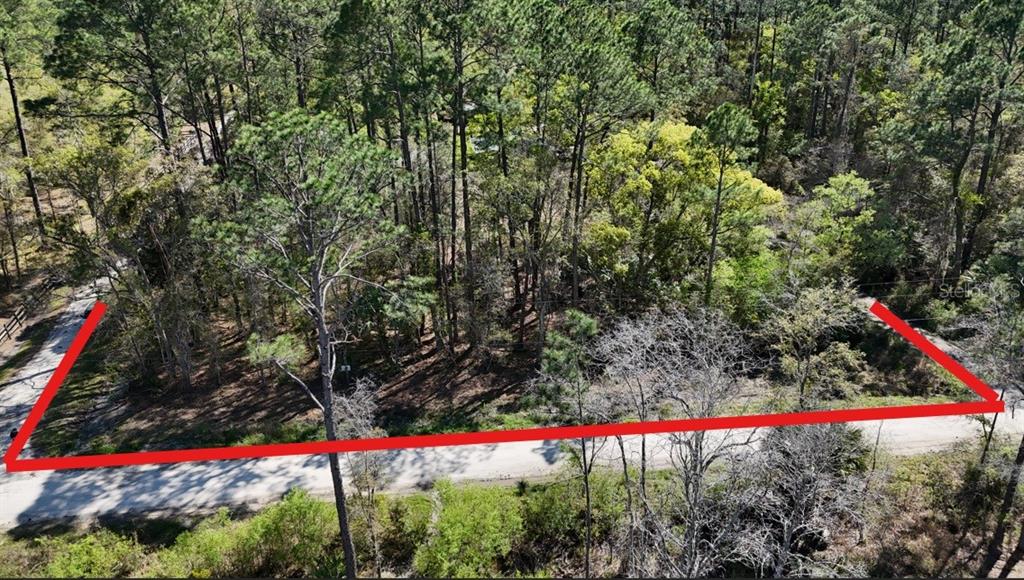 Tbd Northeast 137th Place Citra, FL 32113 - Photo 1 of 11