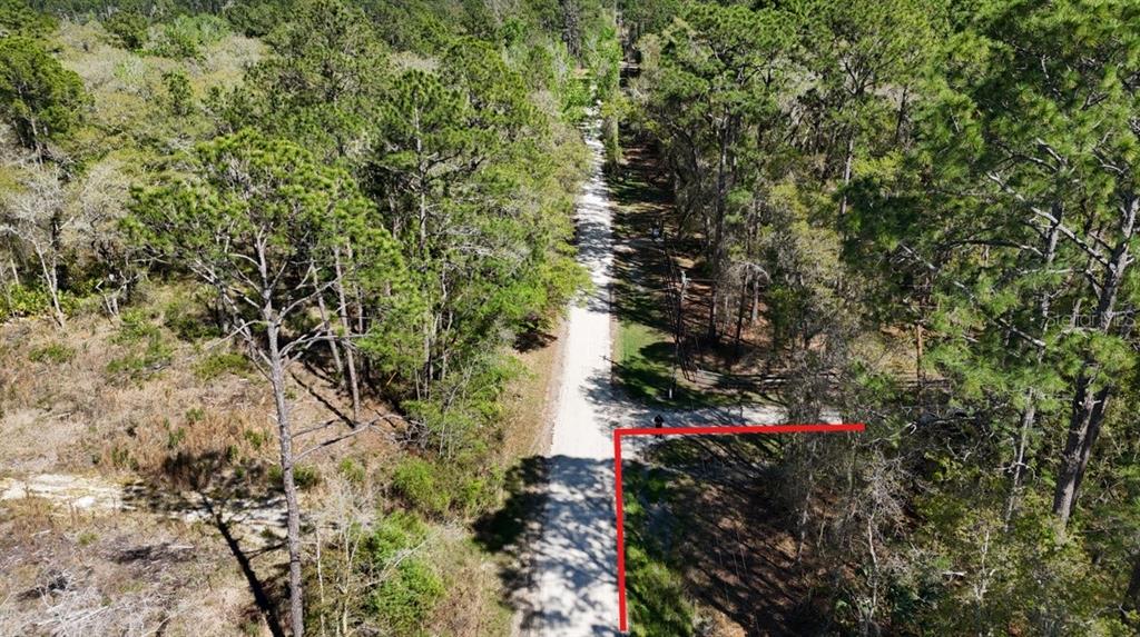 Tbd Northeast 137th Place Citra, FL 32113 - Photo 11 of 11