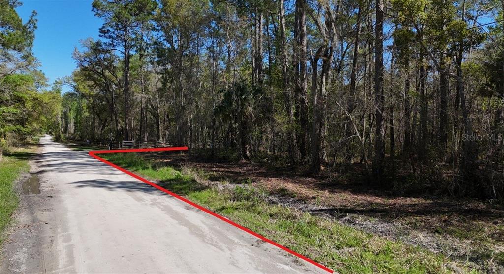 Tbd Northeast 137th Place Citra, FL 32113 - Photo 8 of 11