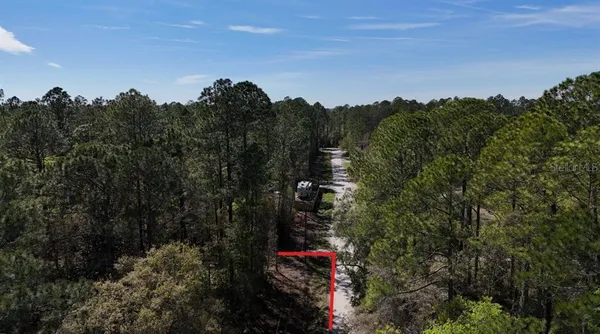 $27,000 | Tbd Northeast 137th Place, Citra, FL 32113