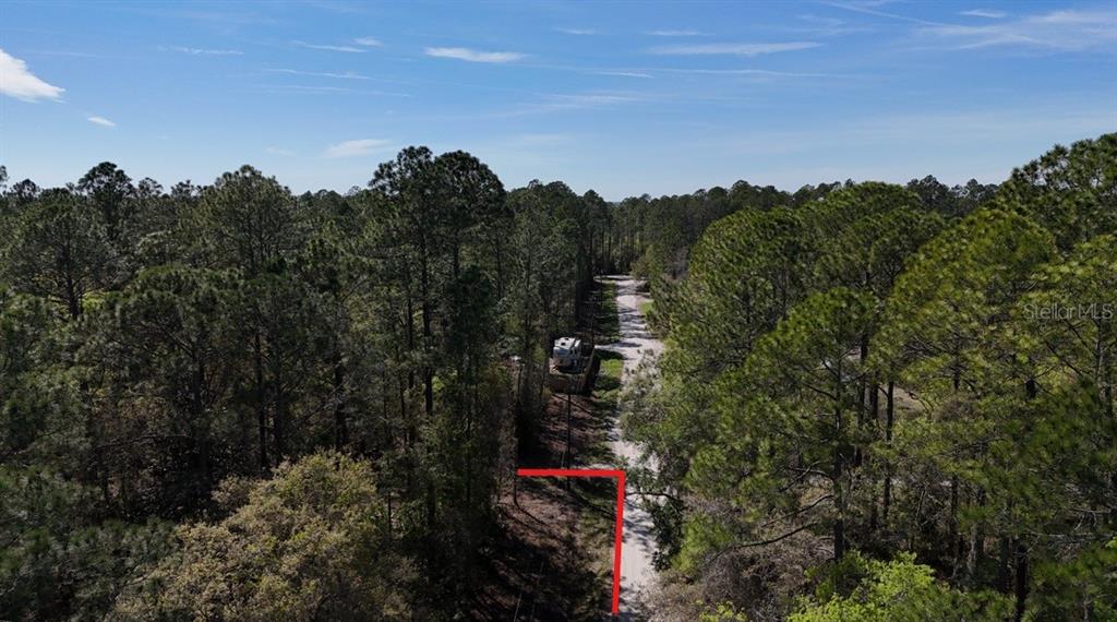 Tbd Northeast 137th Place Citra, FL 32113 - Photo 9 of 11