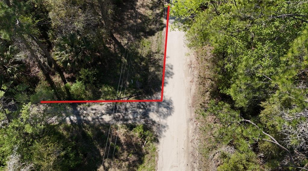 Tbd Northeast 137th Place Citra, FL 32113 - Photo 10 of 11