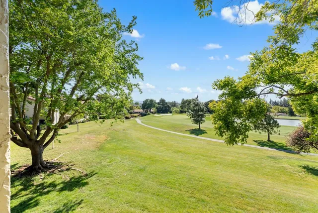a view of a yard with a tree