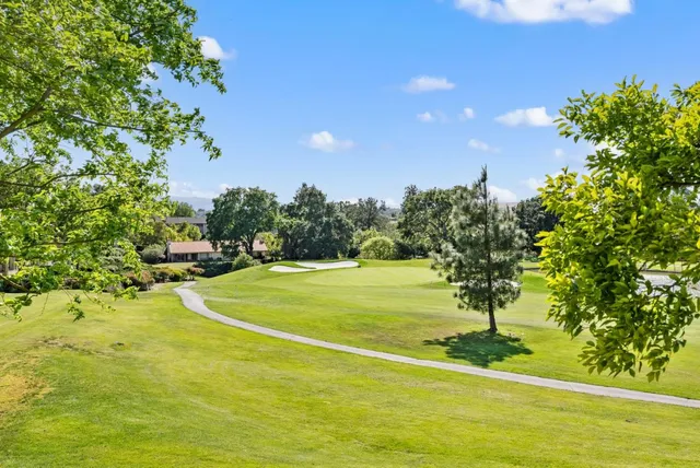 a view of yard with large trees