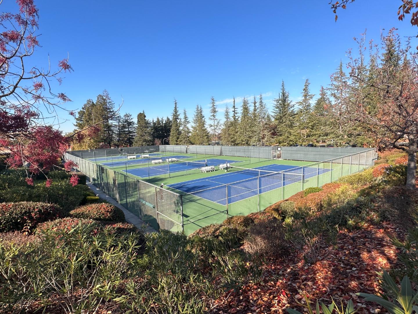 8356 Charbono Court San Jose, CA 95135 - Photo 42 of 48 a view of a tennis court