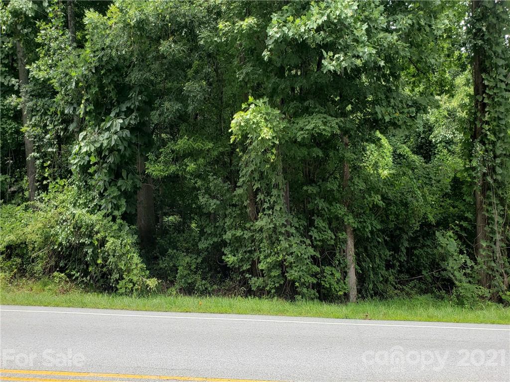 1182 State Road Saluda, NC 28773 - Photo 3 of 3 Gallery Image 3