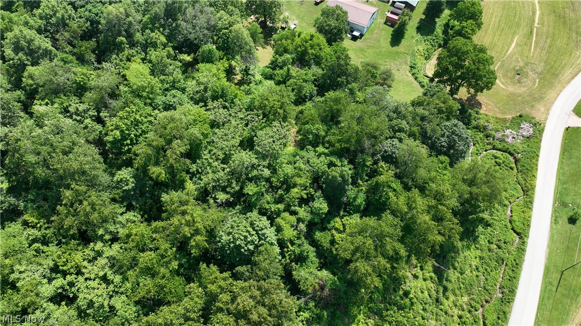 Nicolette Road Parkersburg, WV 26104 - Photo 6 of 11