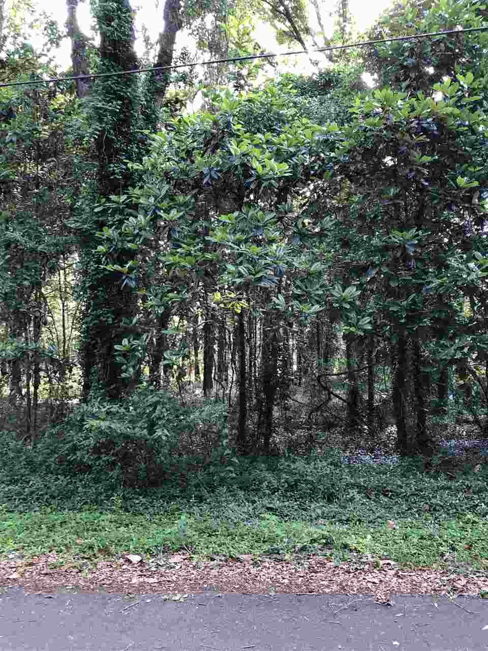 0 Bay Street Magnolia Springs, AL 36555 - Photo 5 of 8