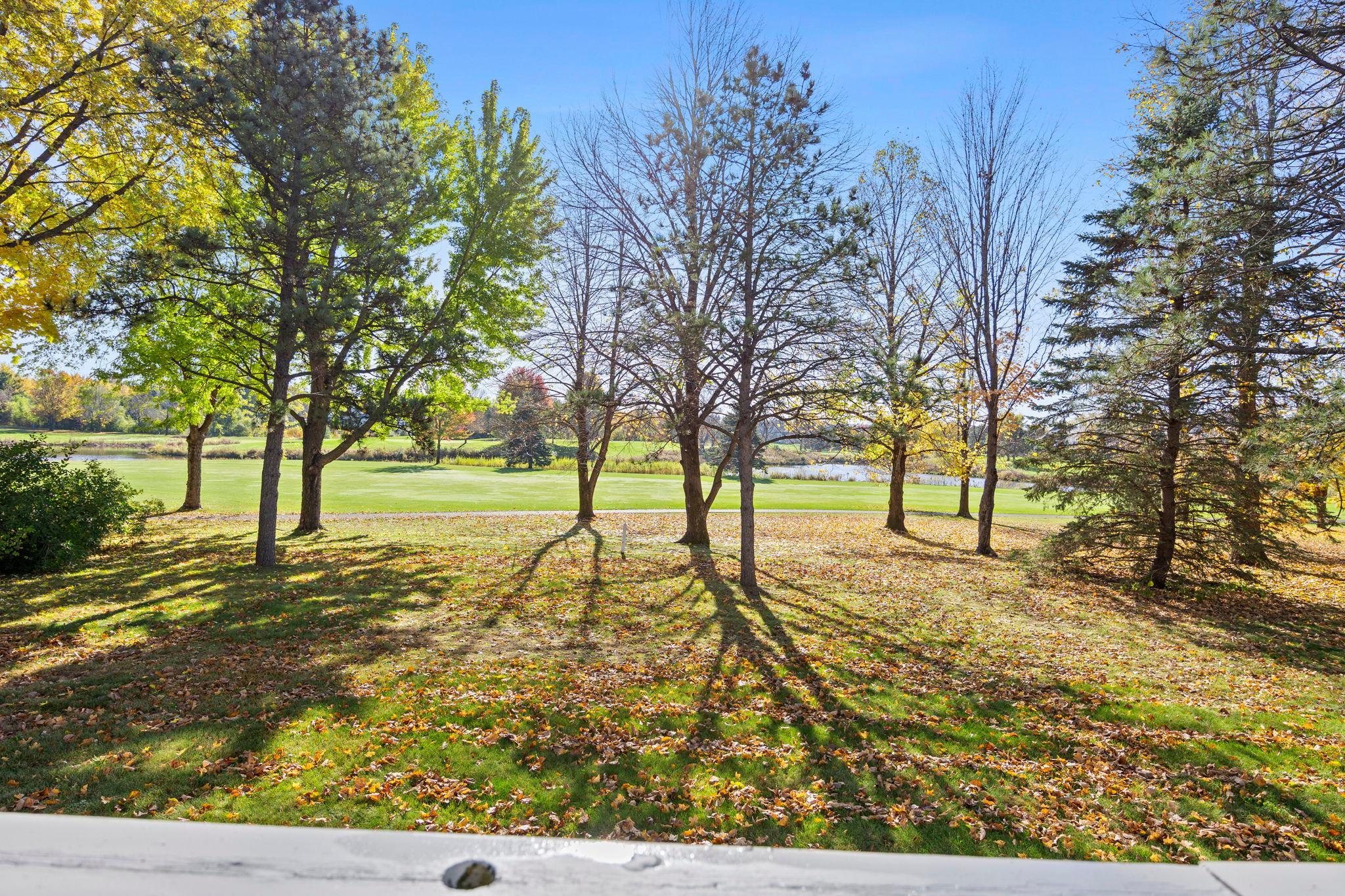 3563 Rae Lane Woodbury, MN 55125 - Photo 76 of 85 Gallery Image 76