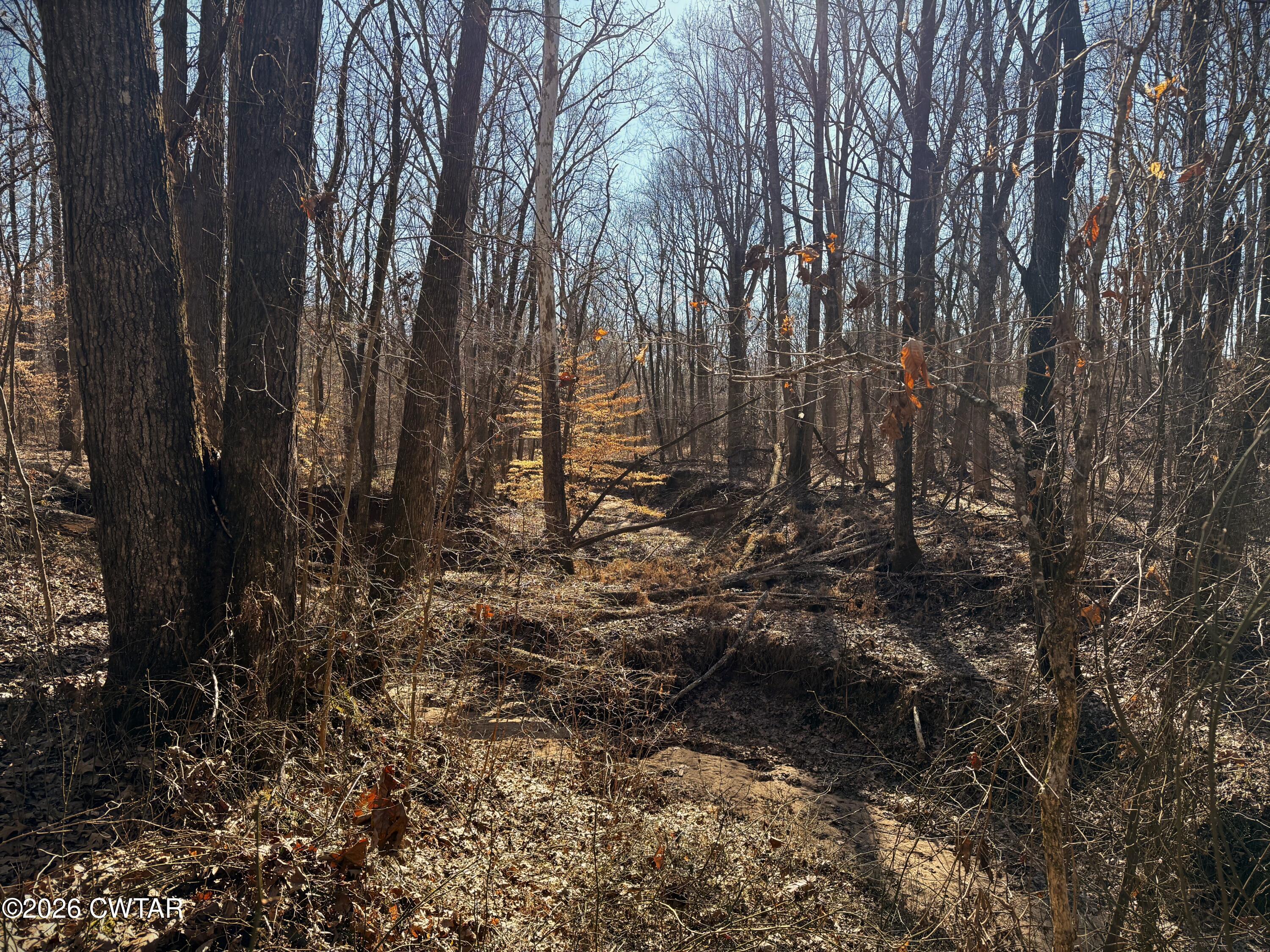 0 Spring Creek Law Road Jackson, TN 38305 - Photo 16 of 26 Photo Feb 13 2026, 9 46 14 AM