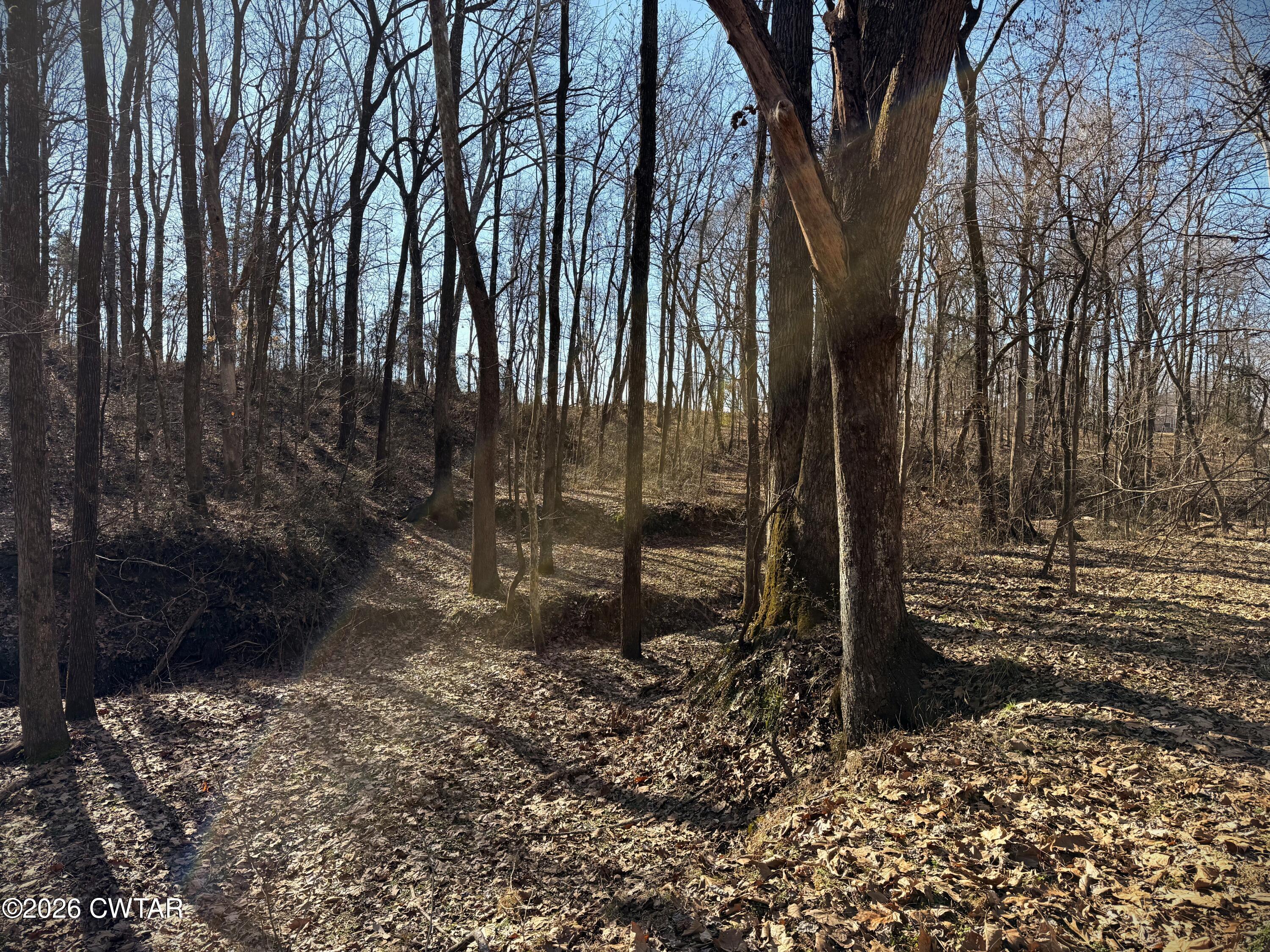 0 Spring Creek Law Road Jackson, TN 38305 - Photo 17 of 26 Photo Feb 13 2026, 9 50 43 AM