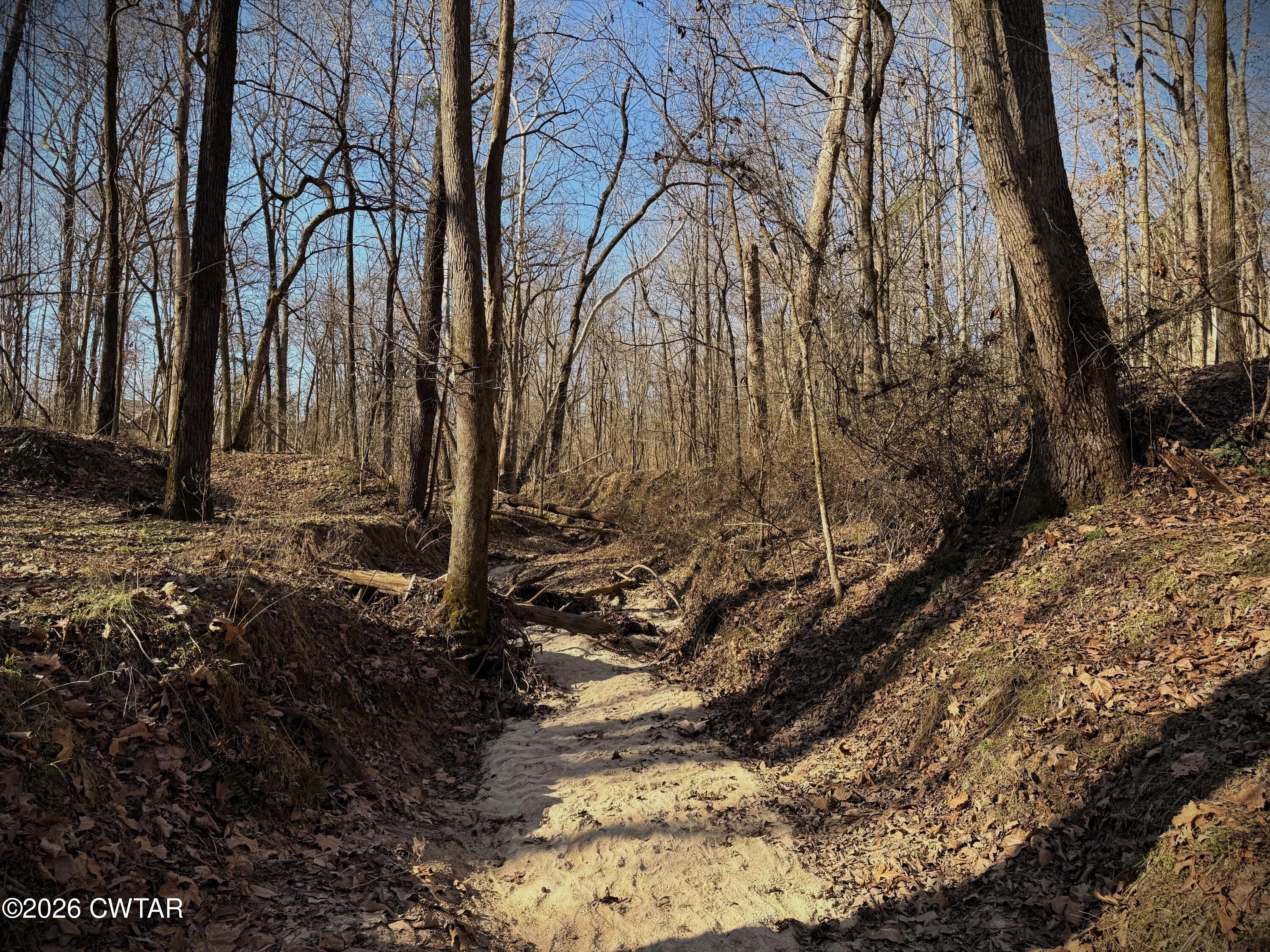 0 Spring Creek Law Road Jackson, TN 38305 - Photo 18 of 26 Photo Feb 13 2026, 9 52 12 AM