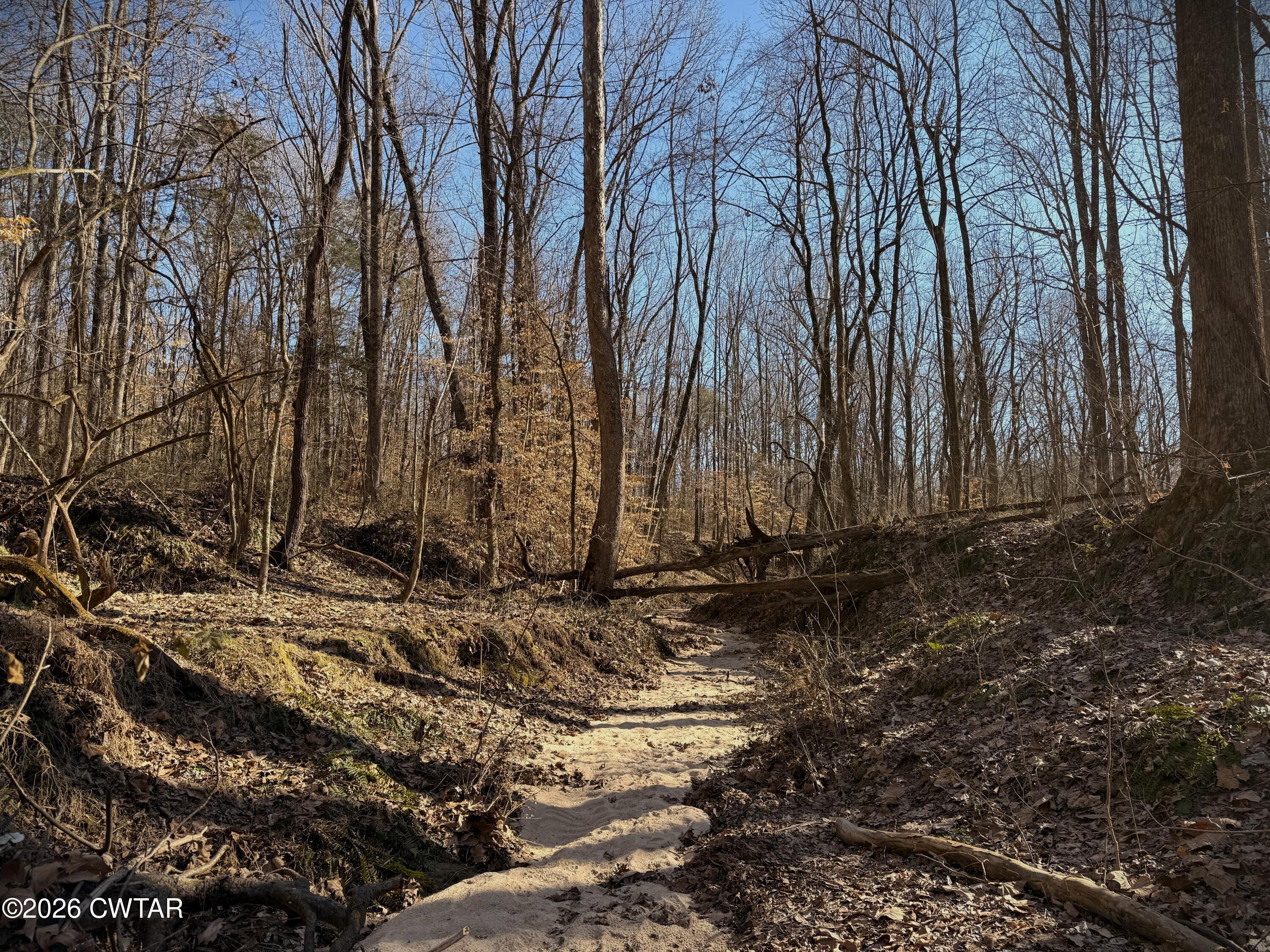 0 Spring Creek Law Road Jackson, TN 38305 - Photo 19 of 26 Photo Feb 13 2026, 9 54 46 AM