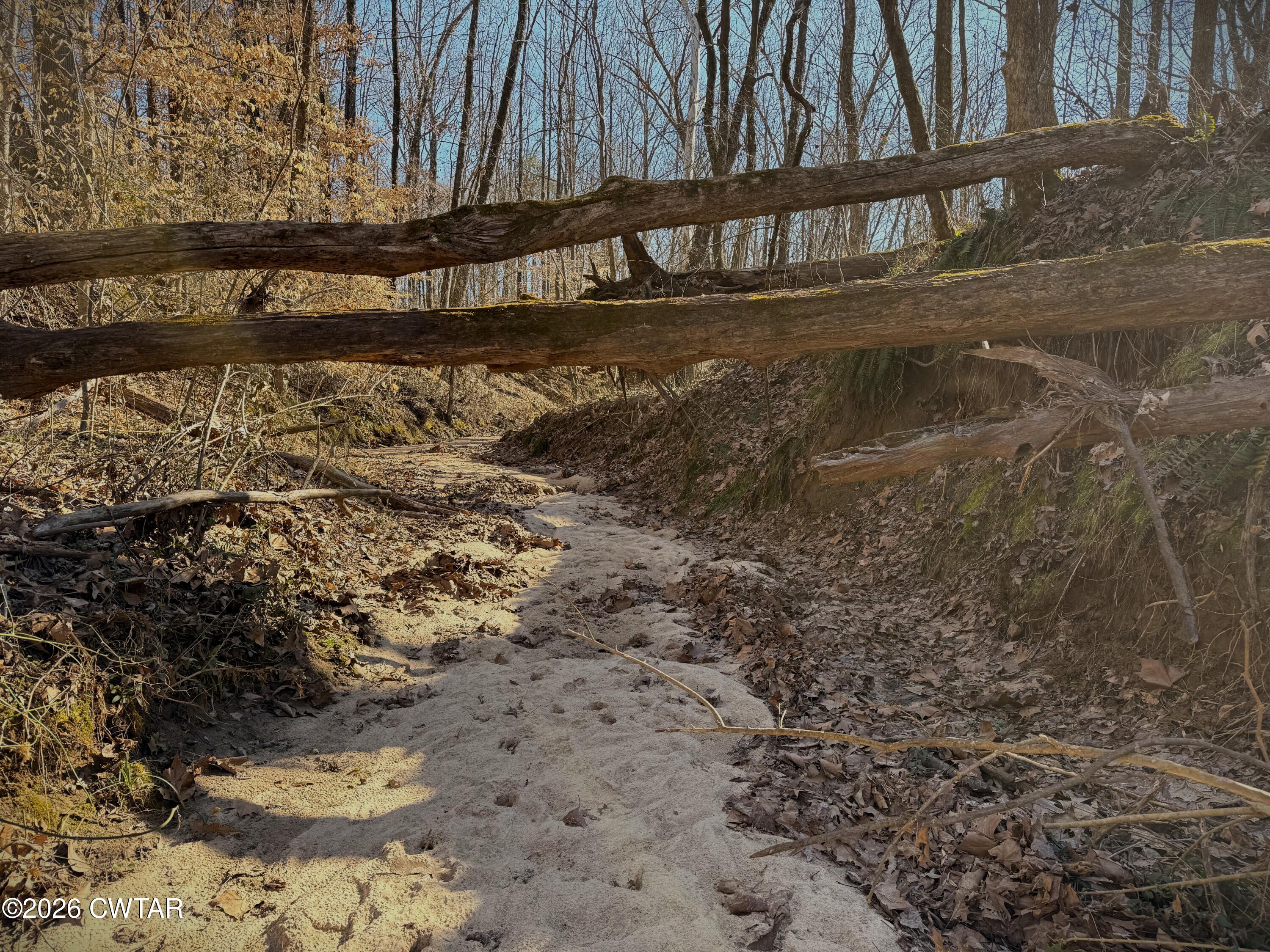 0 Spring Creek Law Road Jackson, TN 38305 - Photo 20 of 26 Photo Feb 13 2026, 9 55 19 AM