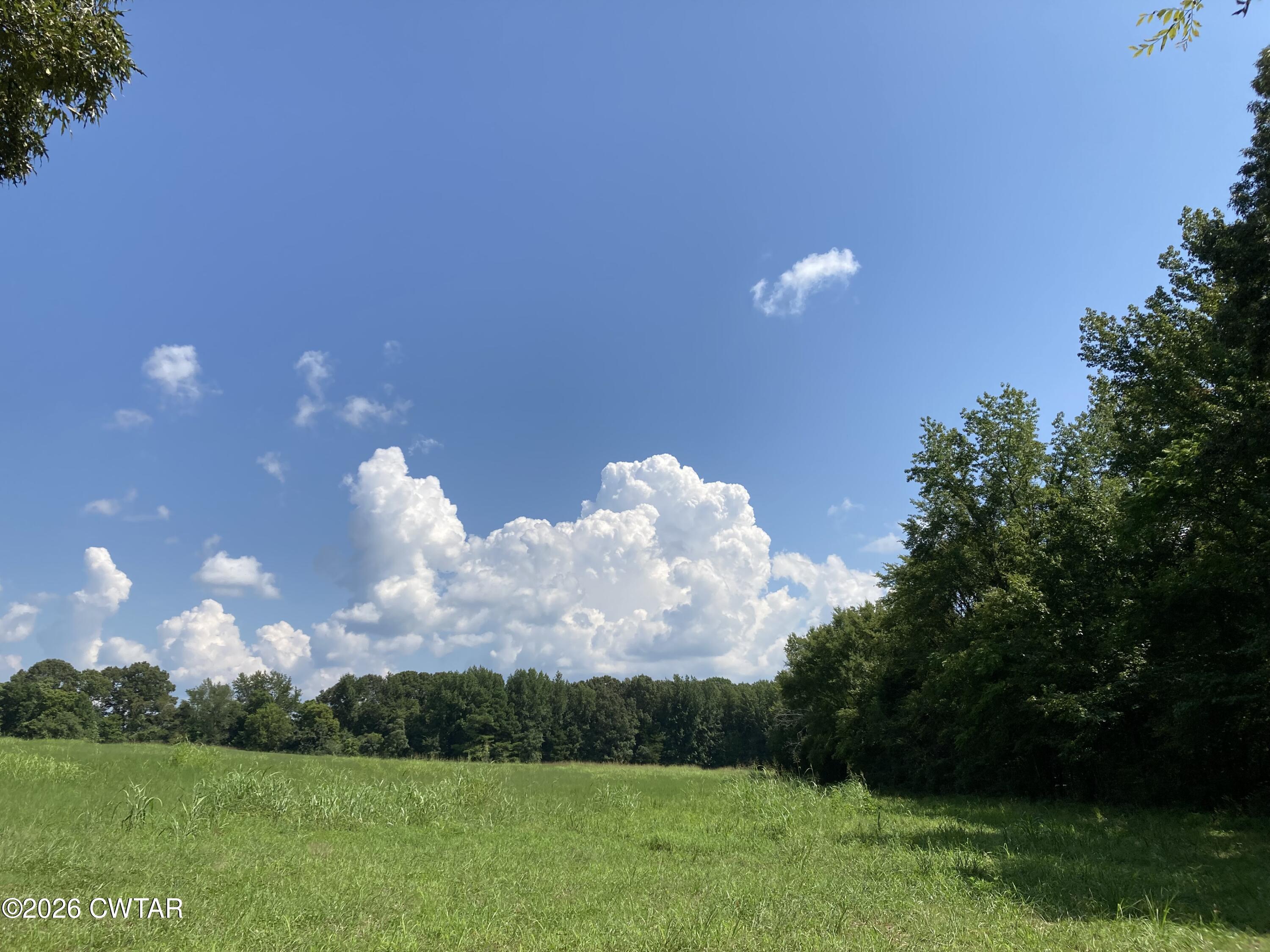0 Spring Creek Law Road Jackson, TN 38305 - Photo 21 of 26 IMG_1426