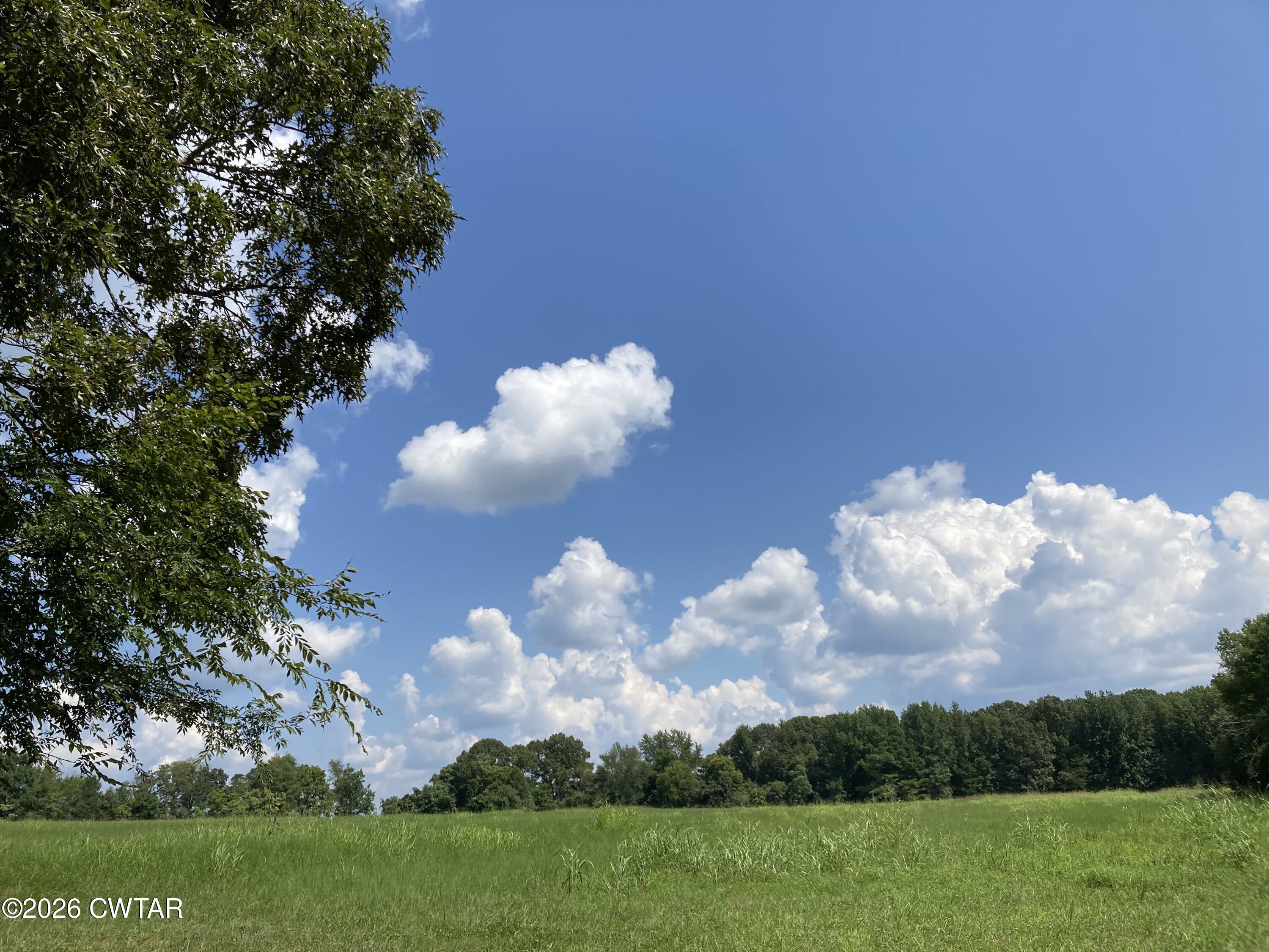 0 Spring Creek Law Road Jackson, TN 38305 - Photo 22 of 26 IMG_1431