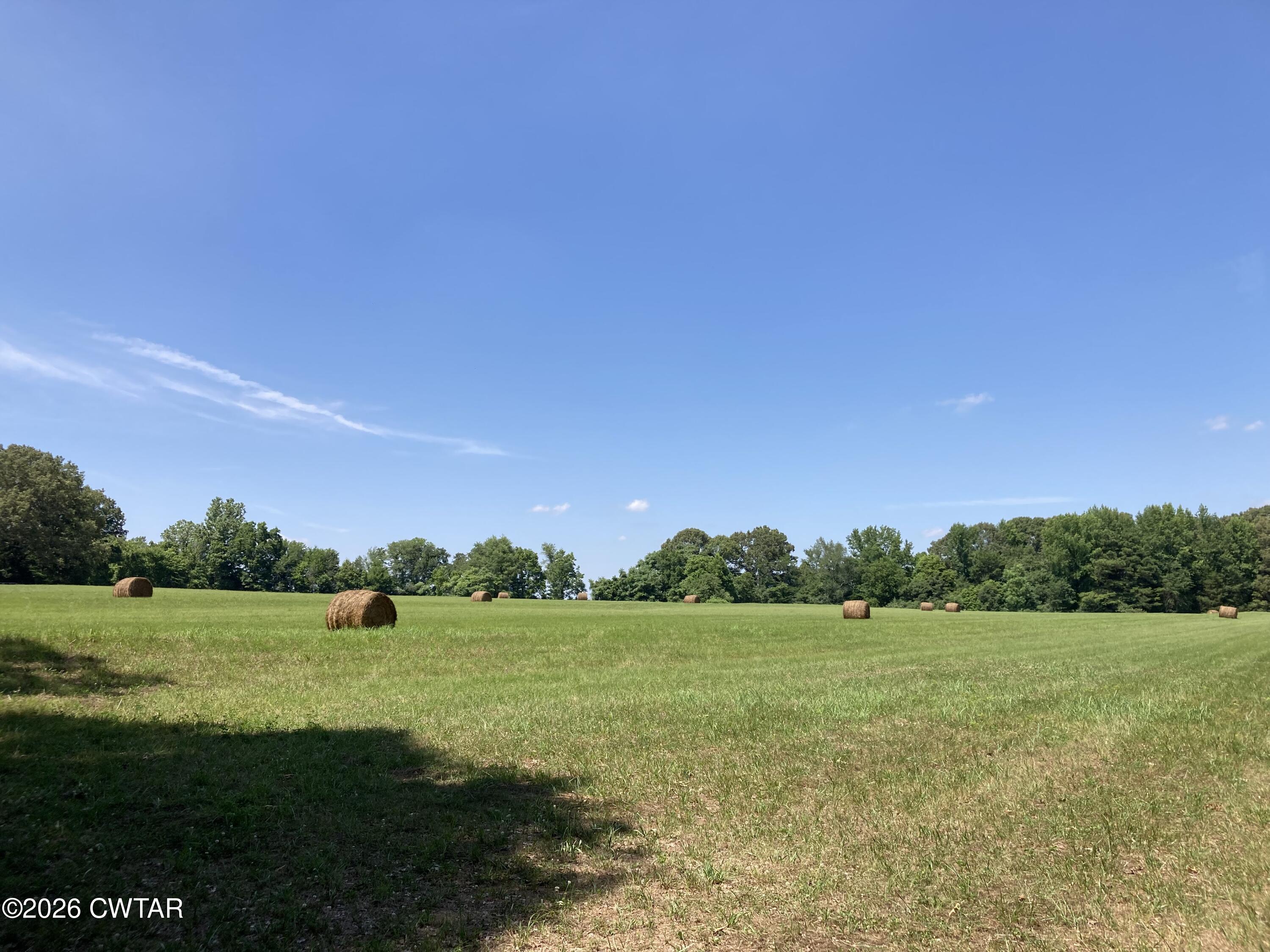 0 Spring Creek Law Road Jackson, TN 38305 - Photo 24 of 26 IMG_2432