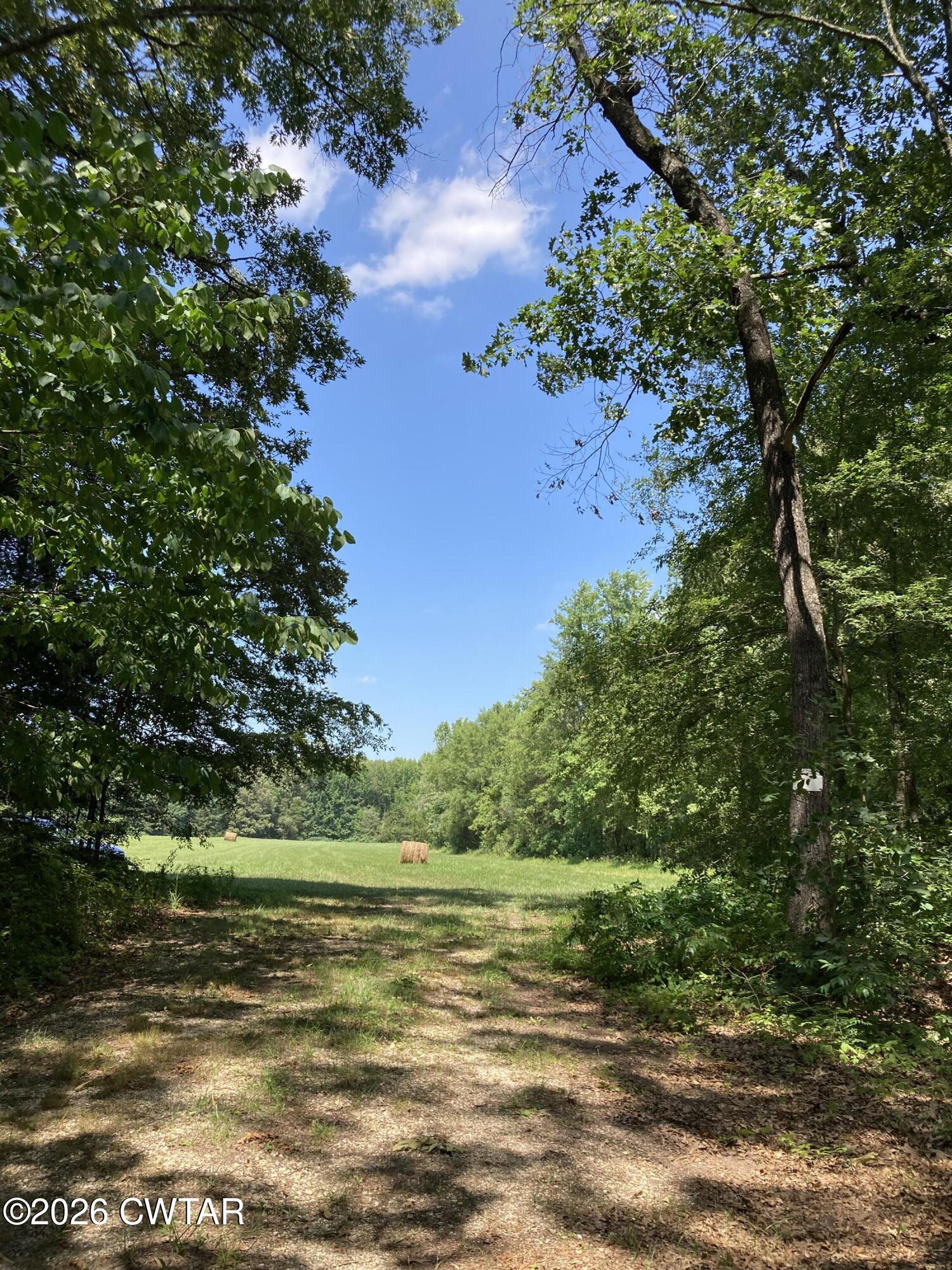 0 Spring Creek Law Road Jackson, TN 38305 - Photo 25 of 26 IMG_2443