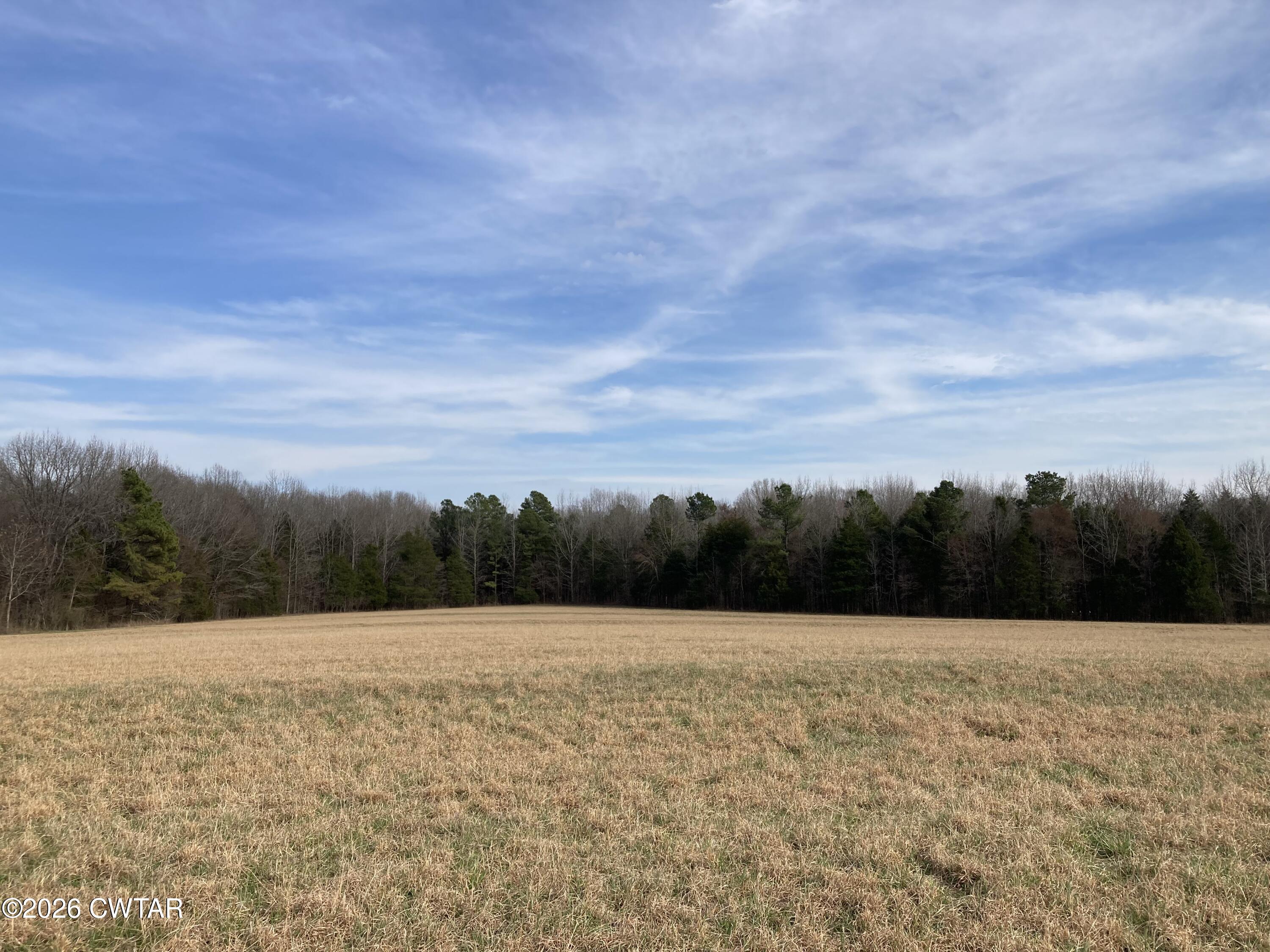 0 Spring Creek Law Road Jackson, TN 38305 - Photo 26 of 26 IMG_5868