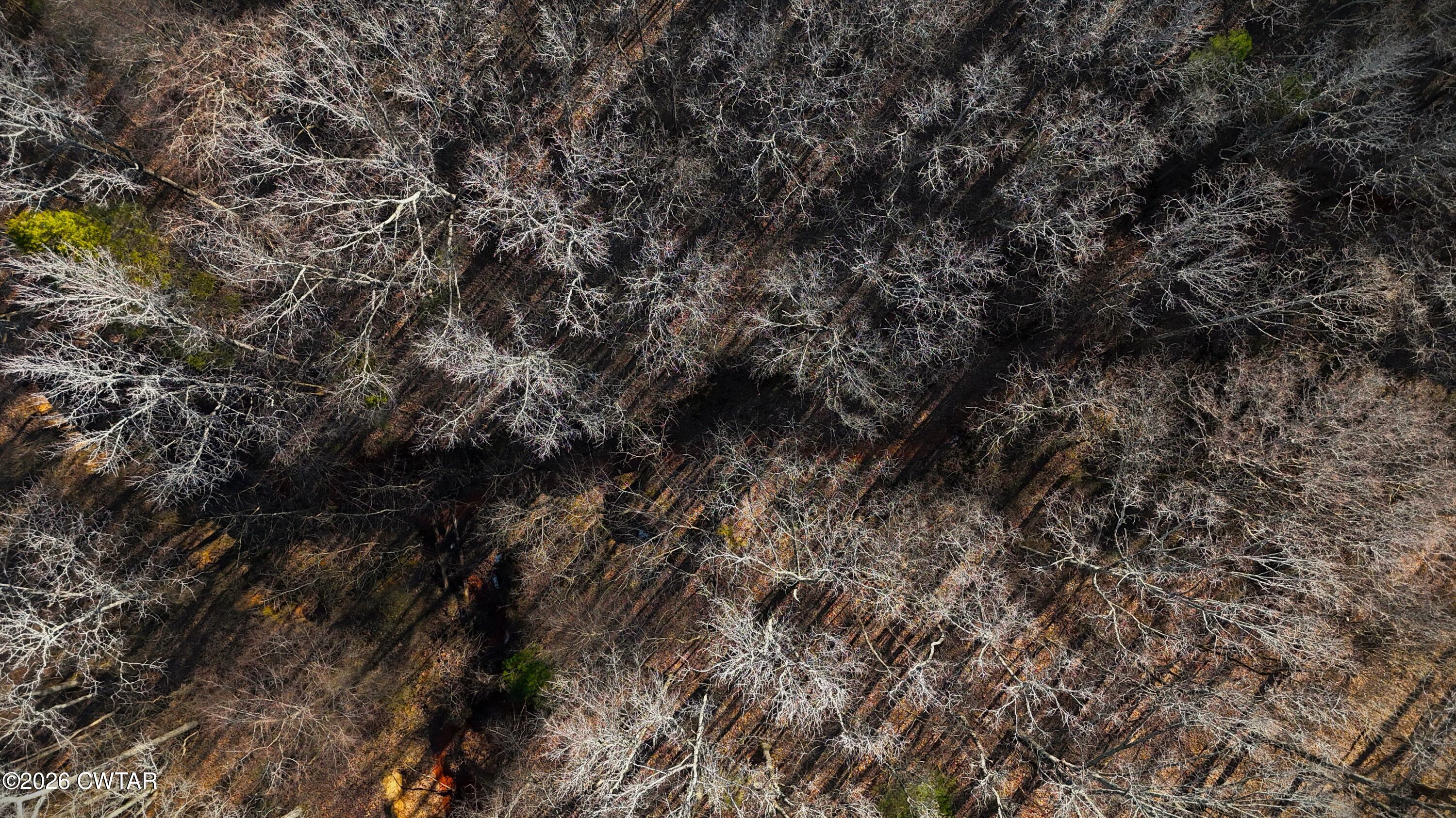 0 Spring Creek Law Road Jackson, TN 38305 - Photo 10 of 26 DJI_20260213085528_0099_D