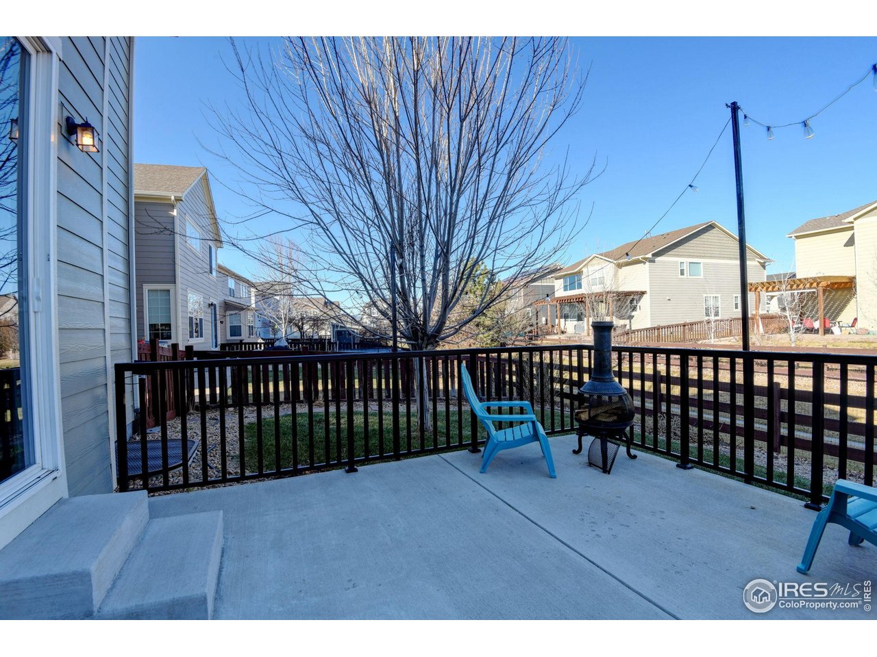6770 Spring Rain Road Timnath, CO 80547 - Photo 38 of 50 Landscaping with multiple rose bushes and trees