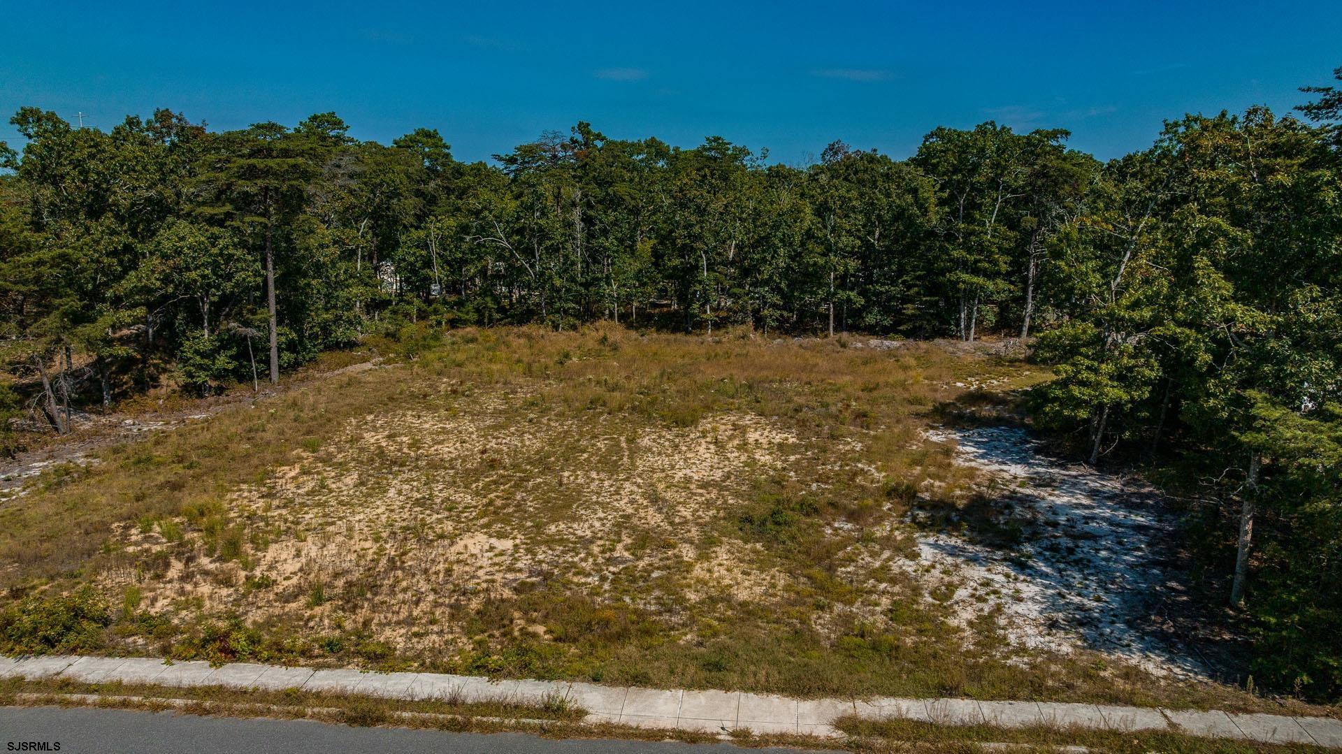 15 Clayton Drive Ocean View, NJ 08230 - Photo 2 of 29 a view of outdoor space and yard