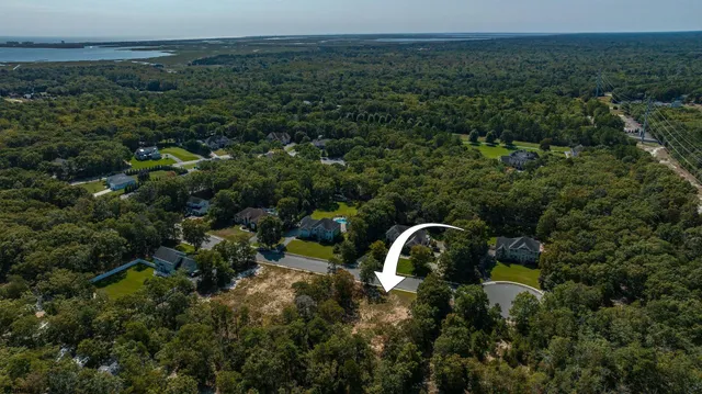 an aerial view of a residential houses with outdoor space and trees