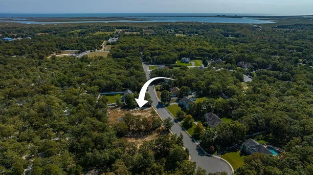 a view of a lake with a park