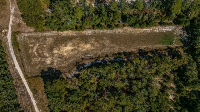 a view of a yard with a tree