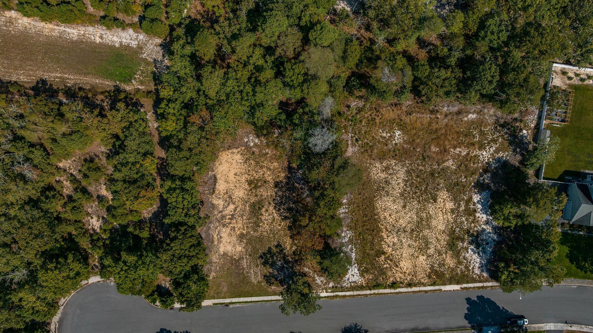 15 Clayton Drive Ocean View, NJ 08230 - Photo 29 of 29 a view of a yard with a tree