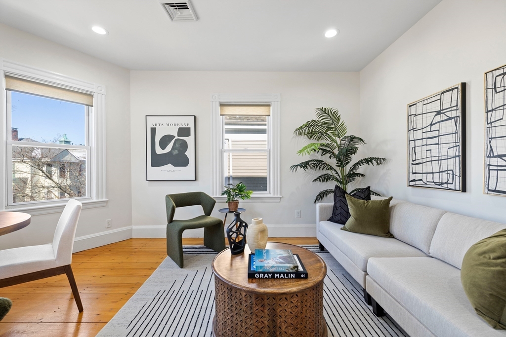 112 Franklin Street, Unit 3 Brookline, MA 02445 - Photo 3 of 16 a living room with furniture and a potted plant