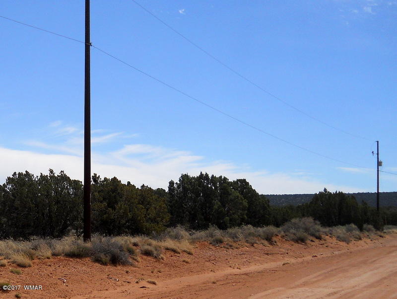 4098 East Pinto Road Snowflake, AZ 85937 - Photo 11 of 43