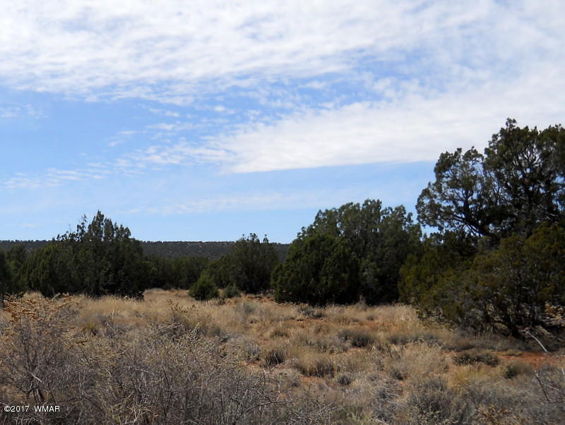 4098 East Pinto Road Snowflake, AZ 85937 - Photo 12 of 43