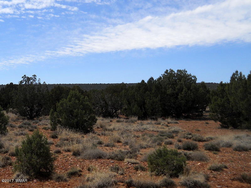 4098 East Pinto Road Snowflake, AZ 85937 - Photo 13 of 43