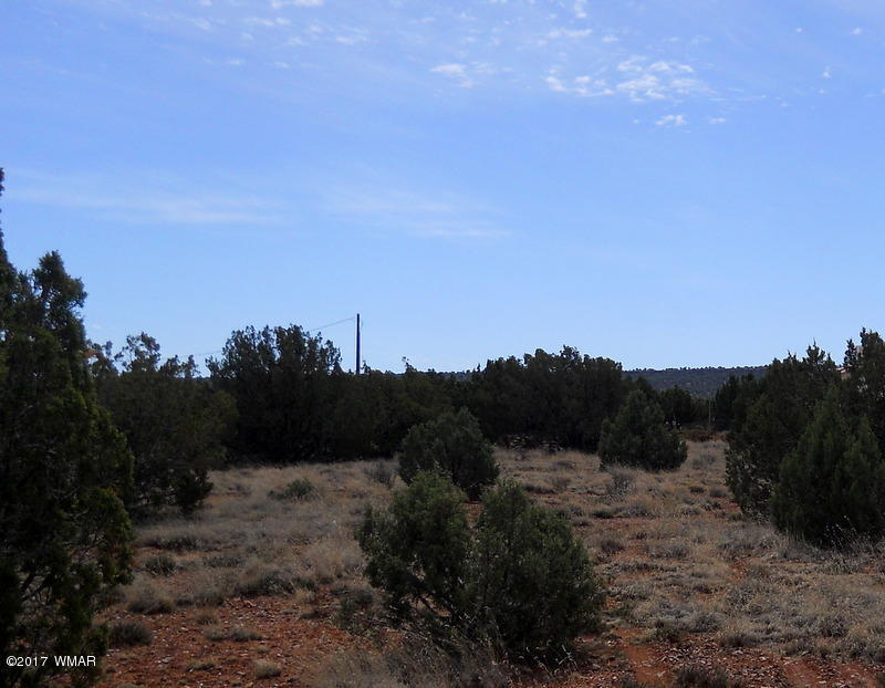 4098 East Pinto Road Snowflake, AZ 85937 - Photo 14 of 43