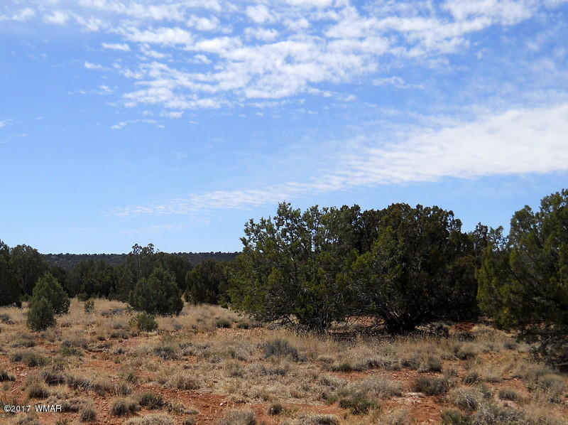 4098 East Pinto Road Snowflake, AZ 85937 - Photo 15 of 43