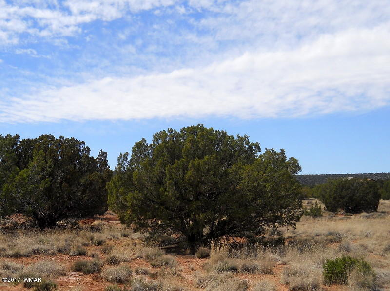 4098 East Pinto Road Snowflake, AZ 85937 - Photo 16 of 43