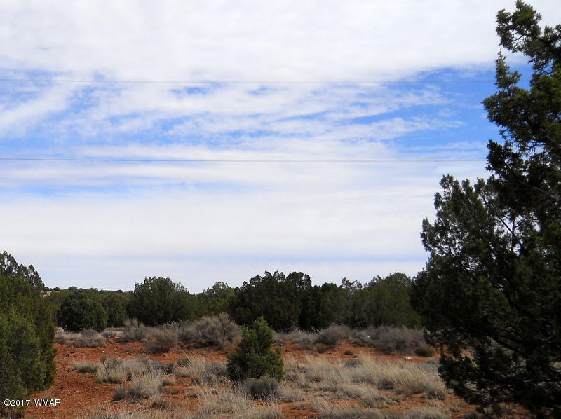 4098 East Pinto Road Snowflake, AZ 85937 - Photo 17 of 43