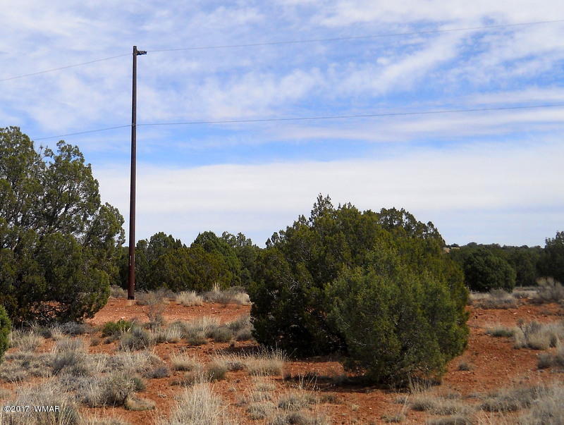 4098 East Pinto Road Snowflake, AZ 85937 - Photo 18 of 43