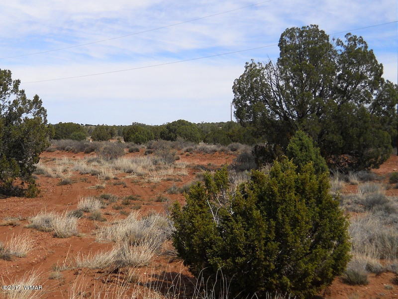 4098 East Pinto Road Snowflake, AZ 85937 - Photo 19 of 43